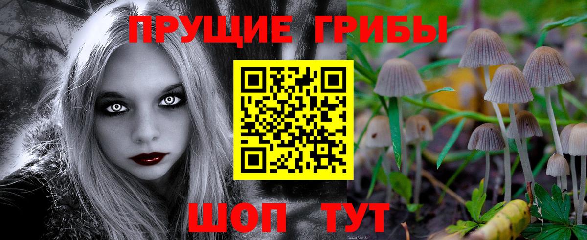 Псилоцибиновые грибы мухоморы Бирск
