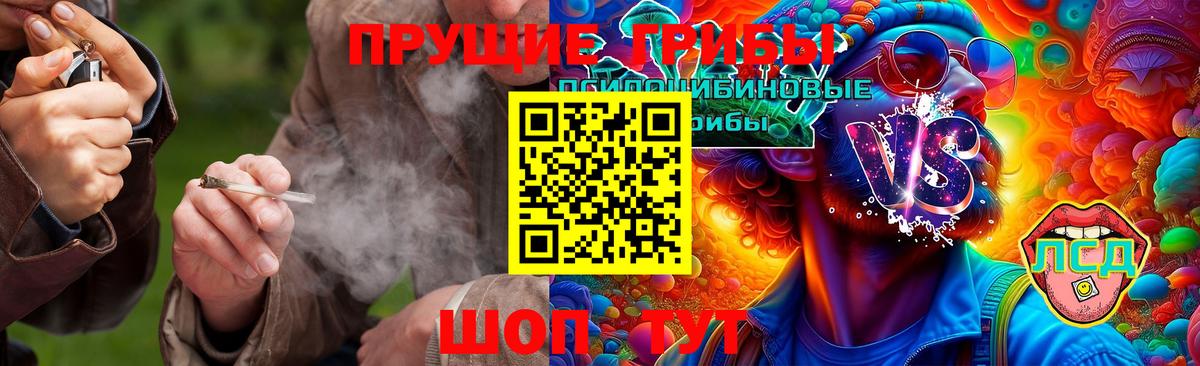 Бирск  Псилоцибиновые грибы MAGIC MUSHROOMS  Вход с VPN 